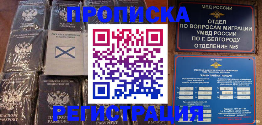прописка гарантия в Чайковском